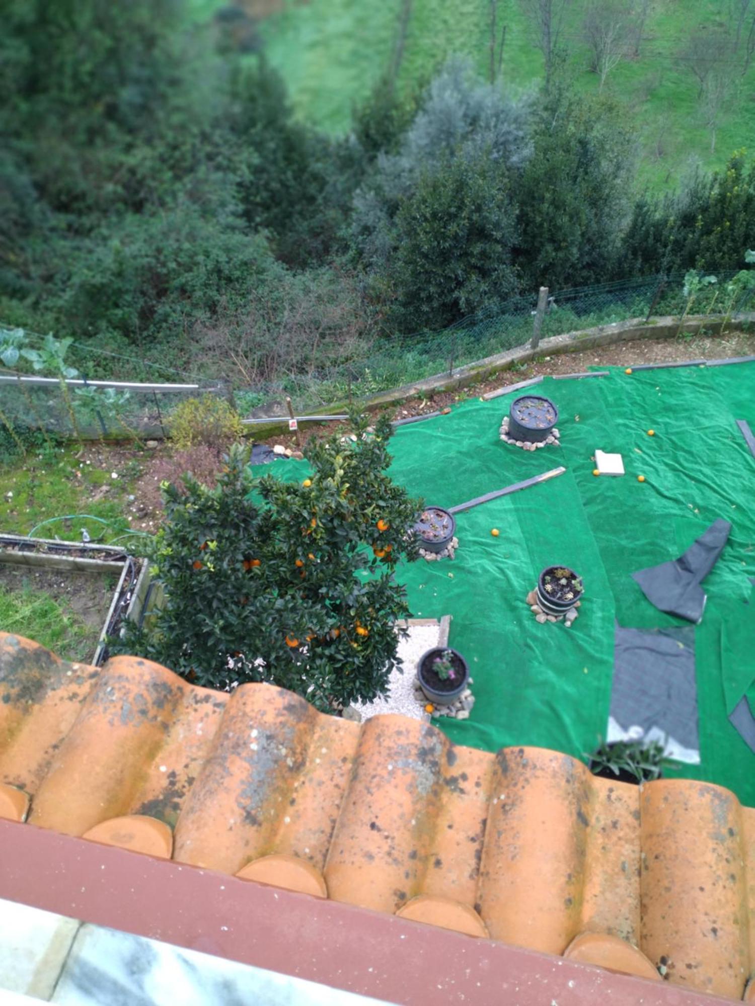 Moradia Lili Villa Ronqueira Kültér fotó